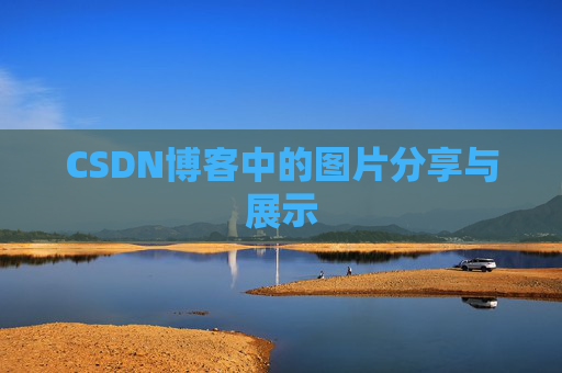 CSDN博客中的图片分享与展示
